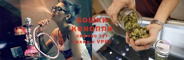 эйфоретик Бородино