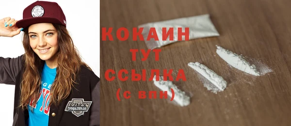 эйфоретик Бородино