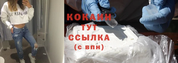 эйфоретик Бородино