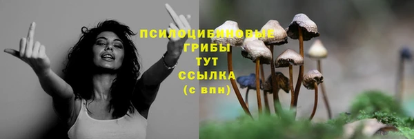 mdpv Балашиха