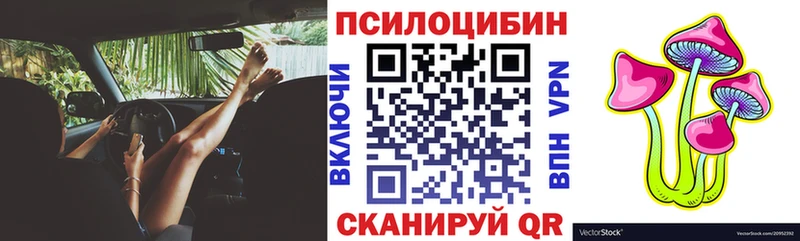 где купить   Буй  Галлюциногенные грибы мухоморы 